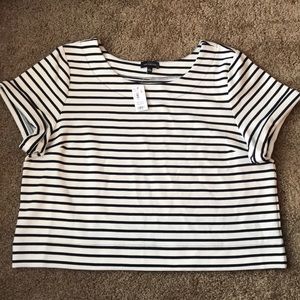 NWT The Limited Striped Crop Top